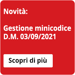 Novità: Gestione minicodice