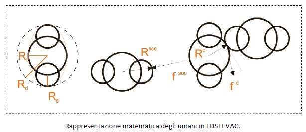 umani in FDS