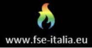 FSE Italia